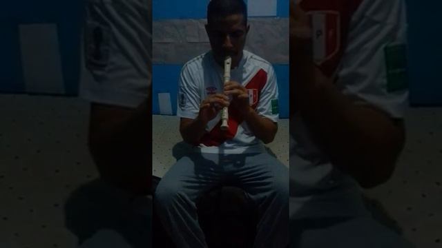 HIMNO NACIONAL DEL PERU EN FLAUTA DULCE смотреть онлайн
