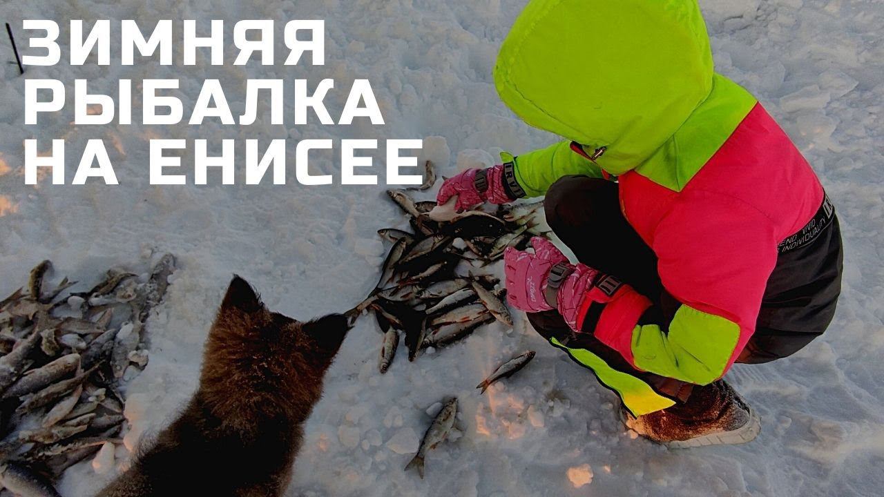 Зимняя рыбалка на Крайнем Севере (река Енисей). Большой выпуск смотреть онлайн