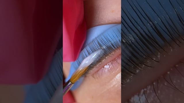 ASMR ламинирования ресниц #асмр #asmr #ламинированиересниц #ресницы #зеленоград смотреть онлайн