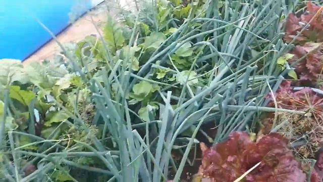 Обзор посадок к 20 июля.