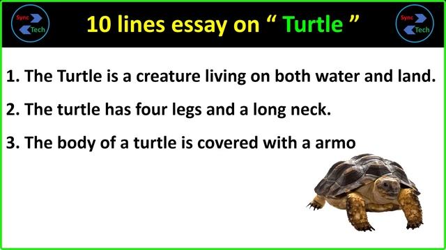 10 lines on turtle in English | 10 lines on tortoise in English | Few lines about turtle смотреть онлайн