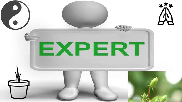 The Chrysanthemums Summary and Analysis смотреть онлайн