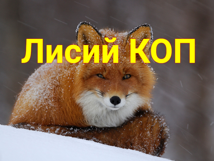 Лисий КОП