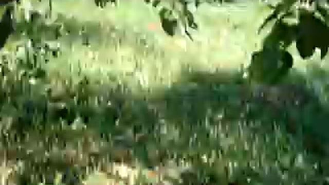 Нелетная погода смотреть онлайн