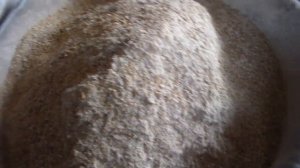 Приготовление корма для свиноматок в период лактации.