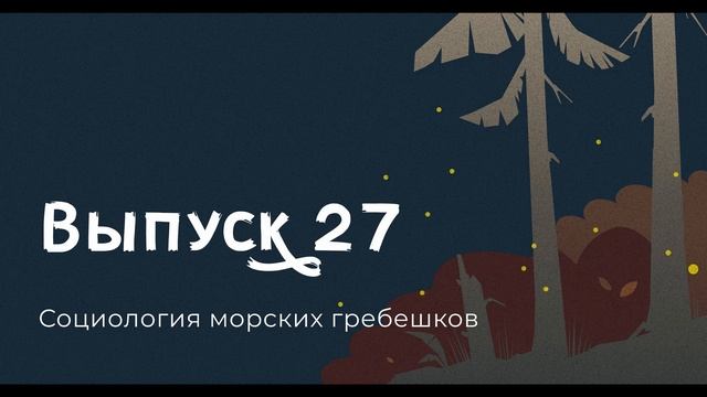 Мишель Каллон, Социология морских гребешков смотреть онлайн