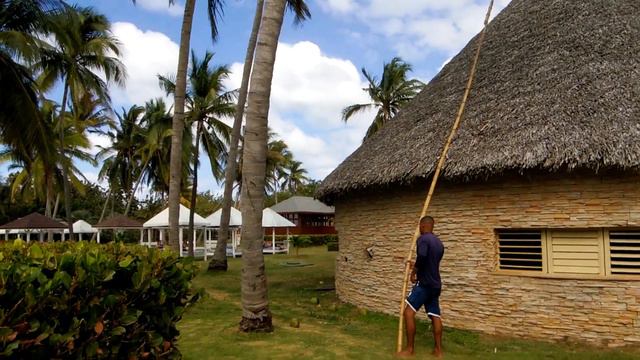 как добывают кокос КУБА ВАРАДЕРО смотреть онлайн