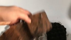 Обслуживание внешнего фильтра Fluval fx6. 11 месяцев в работе.