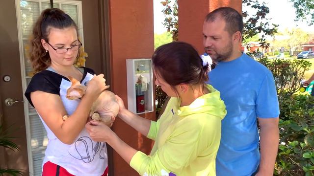 США Влог Отличная идея Встреча с друзьями Большая семья в США /USA Vlog/