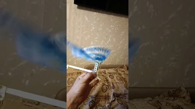 Как летает самодельная дешевая птица дома? 1 июля 2022 смотреть онлайн