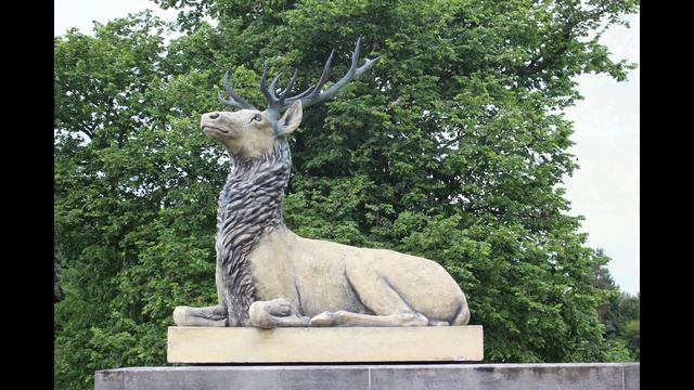 Henbury Hall Gardens HD смотреть онлайн