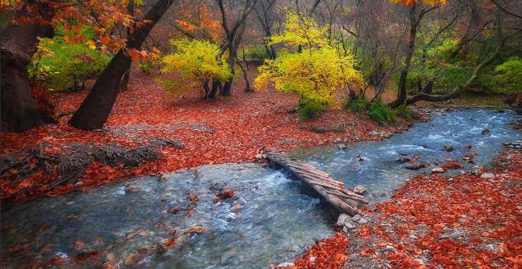 Relax. Удивительный Водопад И Пение Птиц В Лесу. Белый Шум. Атмосфера Для Сна И Учебы смотреть онлайн