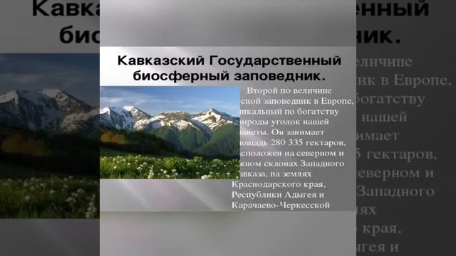 Ко Дню заповедников и национальных парков смотреть онлайн