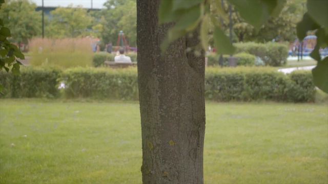 Донорство Вечная молодость смотреть онлайн