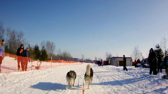 Зимняя сказка 2014 смотреть онлайн