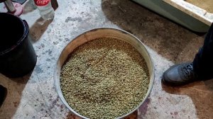 Гранулятор для комбикорма из коробки передач ЗАПОРОЖЕЦ своими руками из подручных материалов