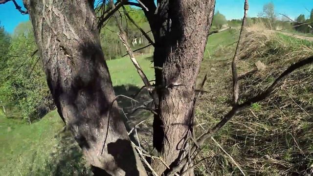 Девушка не знала что в шлеме микрофон))) Катаем на HONDA CBR600RR смотреть онлайн