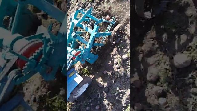 Копалка на мотоблок заводская смотреть онлайн