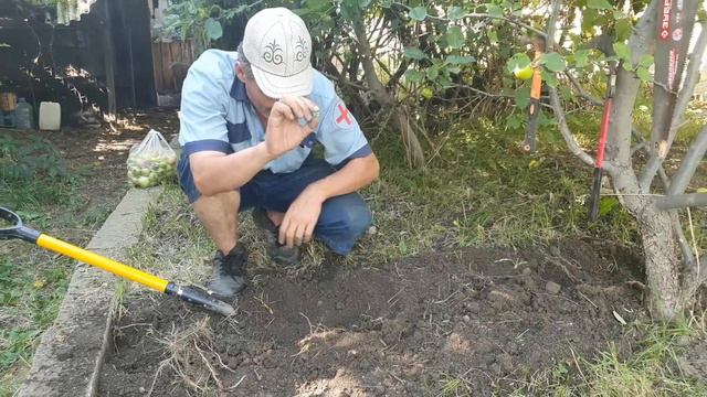 Какой урожай 25 смотреть онлайн