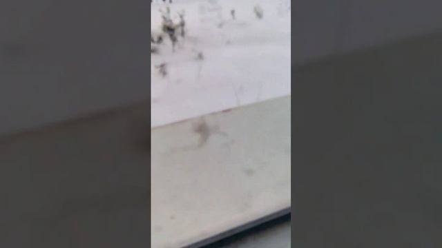 Айфон в снєгу смотреть онлайн