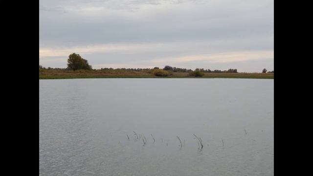 Харабали август 2017 отдых рыбалка Ахтуба смотреть онлайн