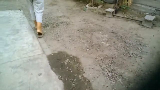 HOME VLOG: братья, танцуем, мой двор, кувыркаемся