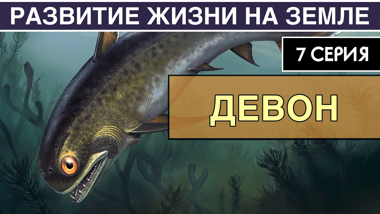 ДЕВОНСКИЙ ПЕРИОД. Развитие жизни на Земле. 7 серия | Эпоха рыб. Первые четвероногие смотреть онлайн