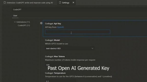 Add CodeGPT in VS Code With API Key || install chat GPT extension for visual studio code #chatgpt