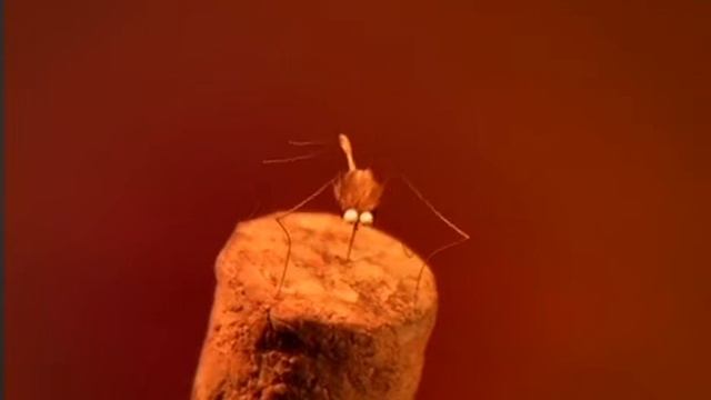 Насекомые Комары Рождество смотреть онлайн