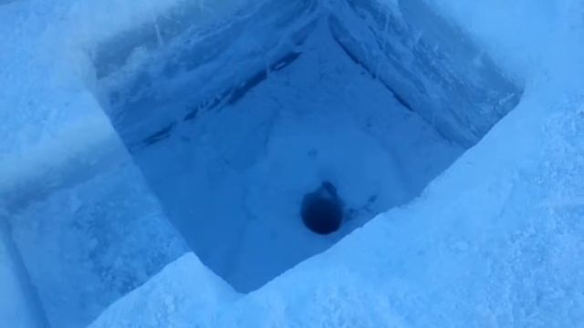 Вездеходы трактора СП-3 Севергеофизика смотреть онлайн