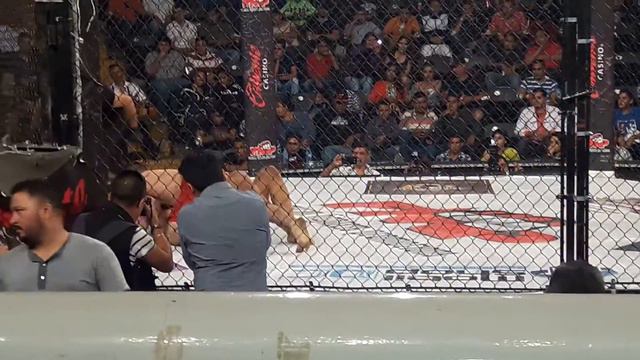 MMA смотреть онлайн