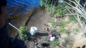 Ловля окуня на резинку!!!