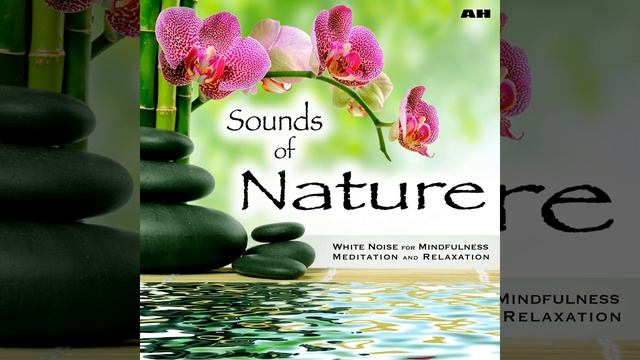 Music for a Fairy Tale Princess смотреть онлайн