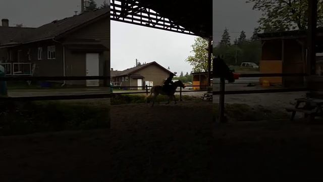 Gabby jumping #2 смотреть онлайн