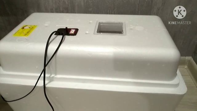 Инкубация куриных яиц 2 и 3 этап. смотреть онлайн