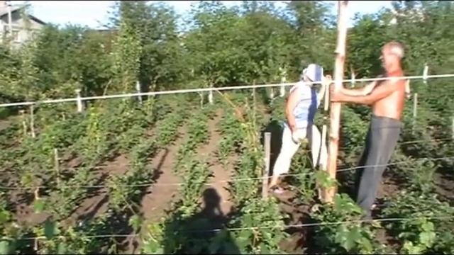 установка столбов.flv смотреть онлайн