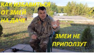 КАК ИЗБАВИТЬСЯ ОТ ЗМЕЙ НА ДАЧЕ, ЗМЕЙ В УЖАСЕ УПОЛЗУТ С ВАШЕГО УЧАСТКА И НЕ ВЕРНУТСЯ НИКОГДА.
