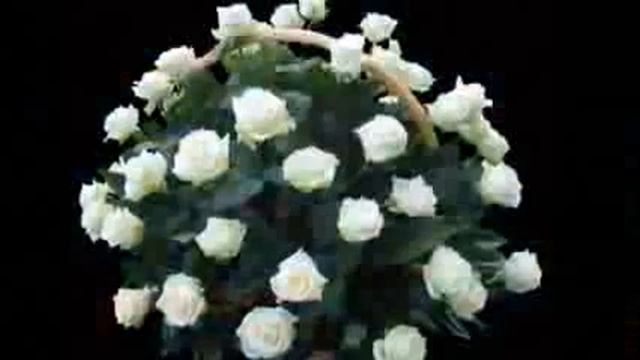 БУКЕТ ИЗ БЕЛЫХ РОЗ смотреть онлайн