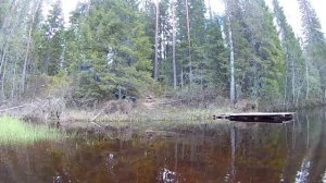 Водами Онеги.  Часть - 1. р. Нименьга - р. Волошка