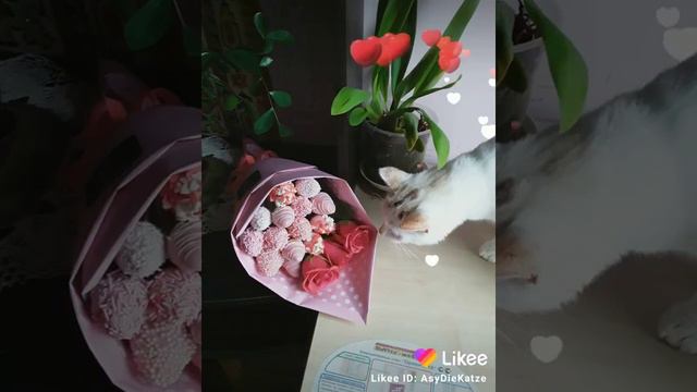 Миллион алых роз! 🌹🌹🌹 #егоркрид #миллионалыхроз смотреть онлайн