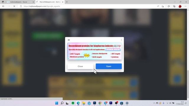 Como PONER FONDOS ANIMADOS en tu PC con Windows 11! смотреть онлайн