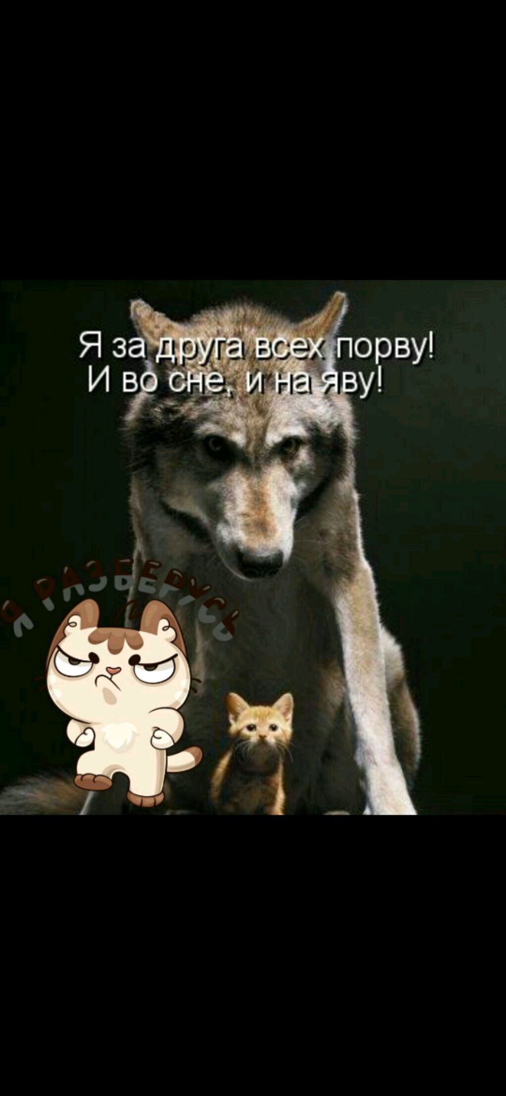 стримчик смотреть онлайн