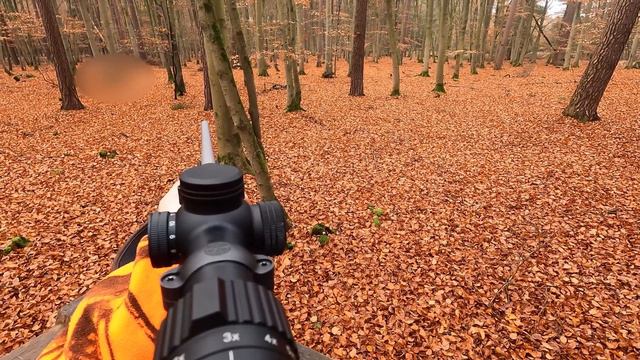 Drückjagd in Mecklenburg-Vorpommern (Ludwigslust-Parchim) - Drückjagd-Journal Vlog / Folge 03/23 смотреть онлайн