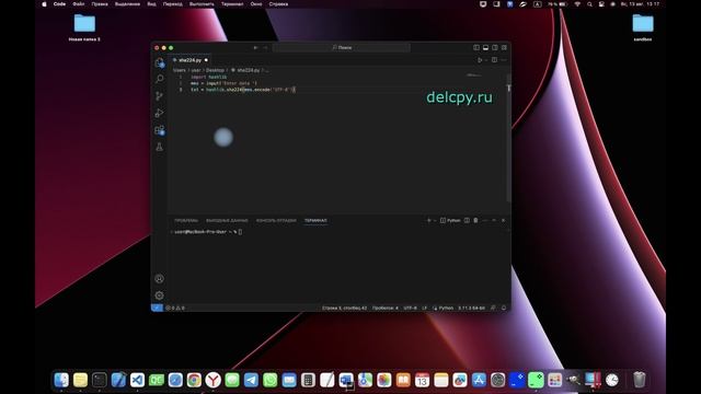 SHA224 and input Python смотреть онлайн
