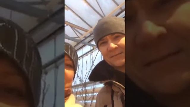 Выставка бонсай Валерия Питела. Аптекарский сад МГУ. Январь 2016 смотреть онлайн
