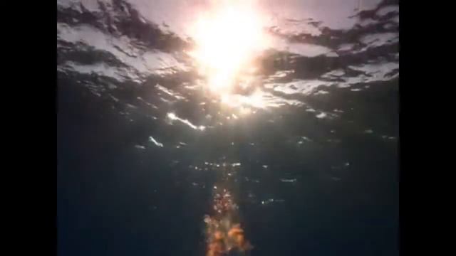 Рыба и Океан (притча) смотреть онлайн