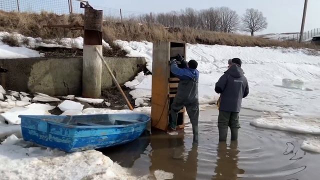 БУДНИ РЫБХОЗА Спуск пруда и отлов крупной рыбы ! Тут много КАРПА, ЩУКИ. РЫБОРАЗВЕДЕНИЕ в Спасске! смотреть онлайн