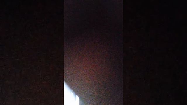 현종 정 라이브 방송 смотреть онлайн