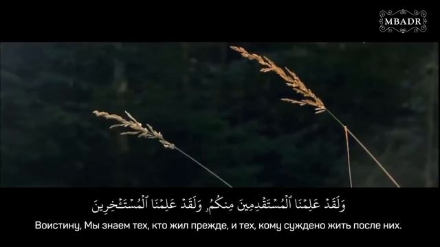 Ислам Субхи Сура аль Хиджр 9 49 Красивое чтение Корана смотреть онлайн