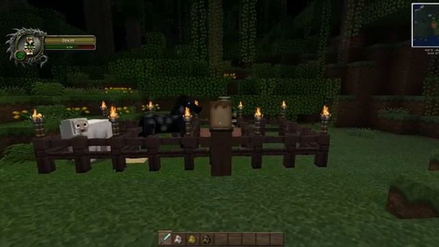 Morph mod и Player animated смотреть онлайн